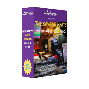 intessioon music tech - savage beats mixing clinic MOCK UP BOX